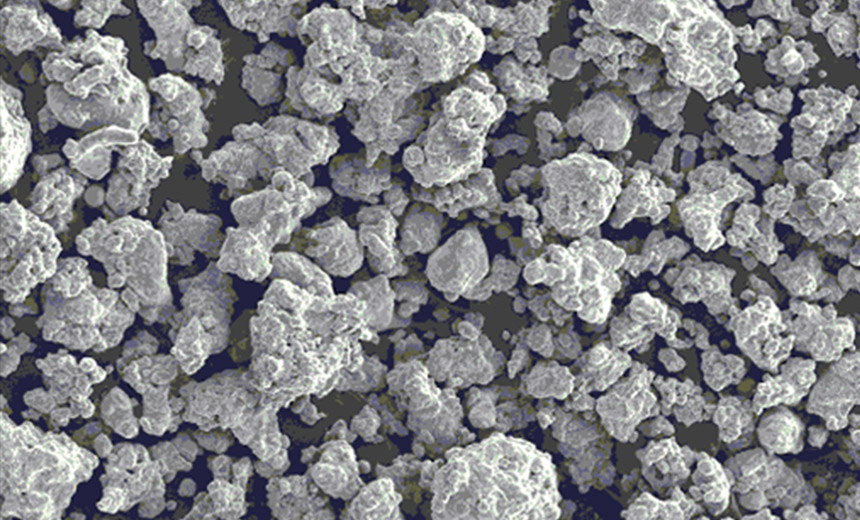 SEM Image of Iron Powder Surface