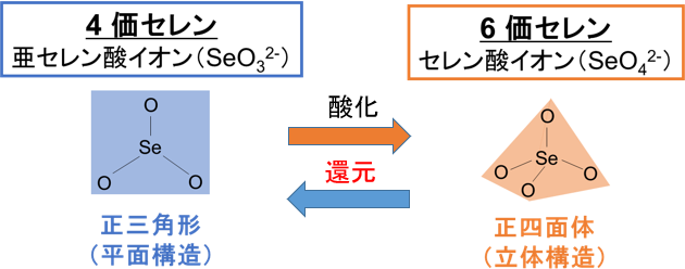 不溶化の難しい汚染物質