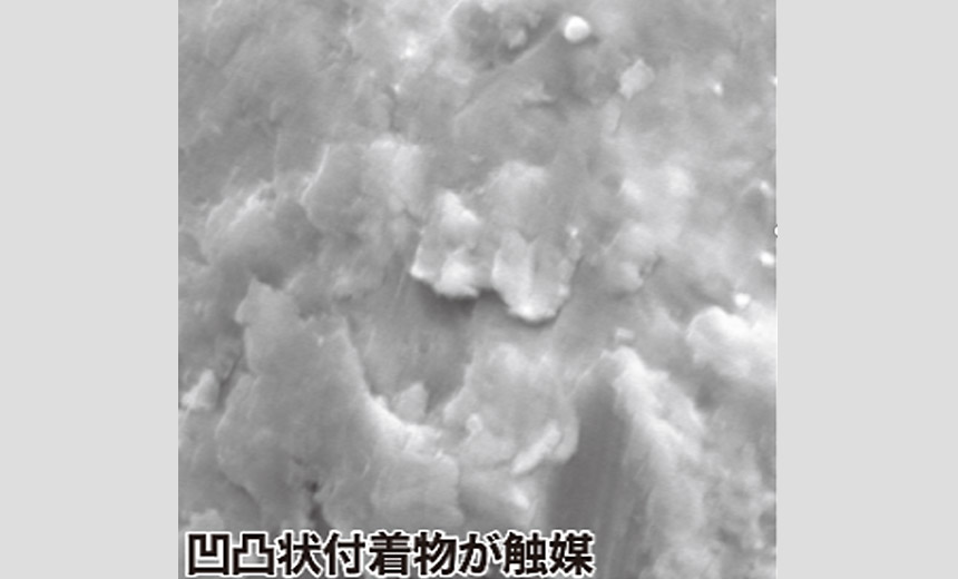 SEM image of iron powder surface