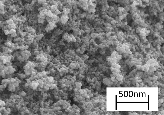 ZnOナノ粒子のSEM観察写真